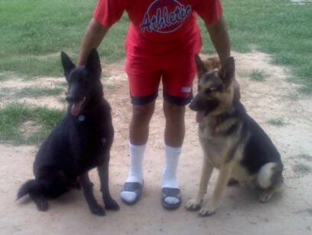 Axel Foley &amp; Rex