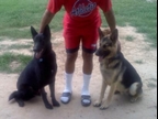 Axel Foley & Rex