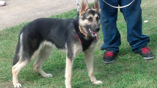 Baby: Female Owned by Daniel Taylor