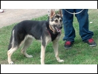 Baby: Female Owned by Daniel Taylor