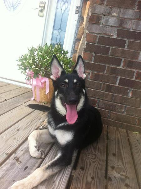 ATHENA OWNED BY SETH ELLIS PLESANT GROVE AL.