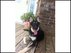 ATHENA OWNED BY SETH ELLIS PLESANT GROVE AL.