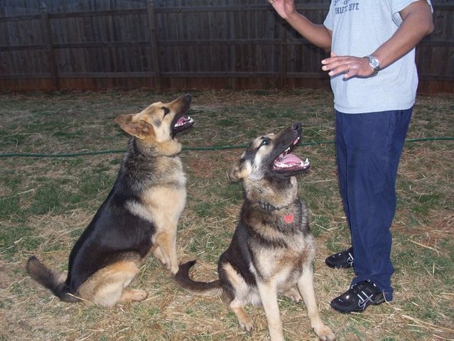 CHARLIE &amp; MAX