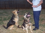 CHARLIE & MAX