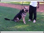 Skipper: Owned by Bobby Diggs of Courtland AL.