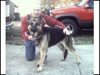 REMINGTON