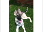 millieMillie: Owned by Bryan & Leigh Ann Jasper of Athens Al