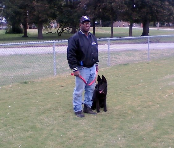 NITRO SIRED BY MAXWELL'S EIGHT BALL OF FIRE &amp; SHADOW'S DIVA VON MAXWELL