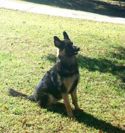 Neka Vom Hodge Jackson Thompson