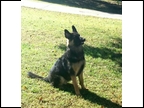 Neka Vom Hodge Jackson Thompson