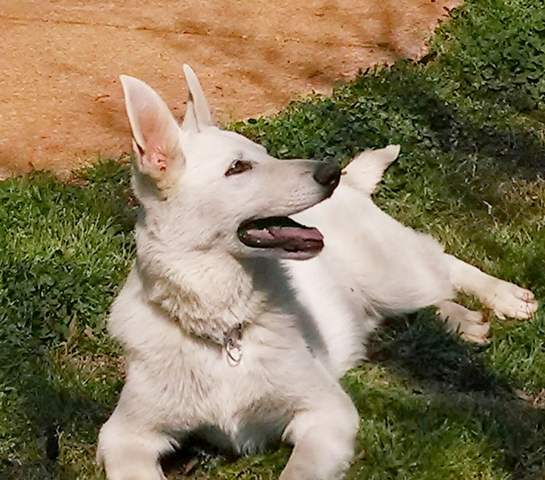 Mia,s Casper von Duke