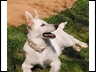 Mia,s Casper von Duke