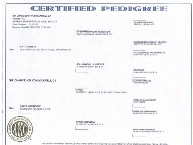 SIR CHANCELOR VON MAXWELL'S PEDIGREE