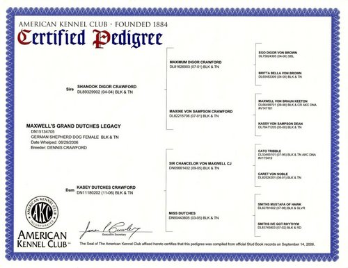 legacy's pedigree