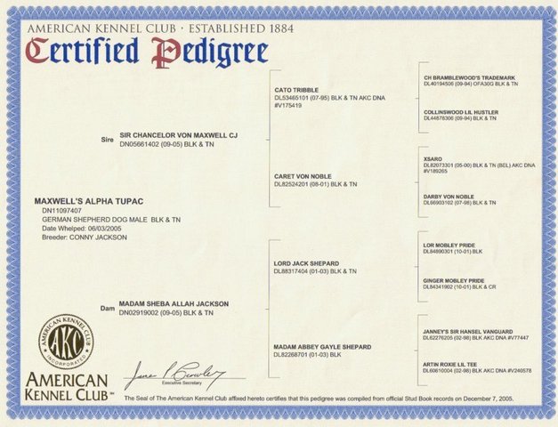 tupacs pedigree