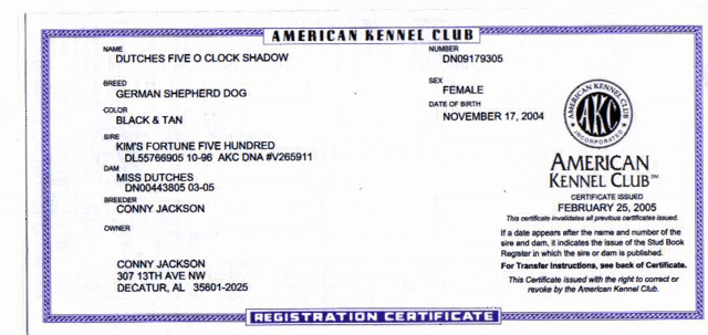 DUTCHES FIVE O'CLOCK SHADOW CERTIFACATE OF PEDIGREE.