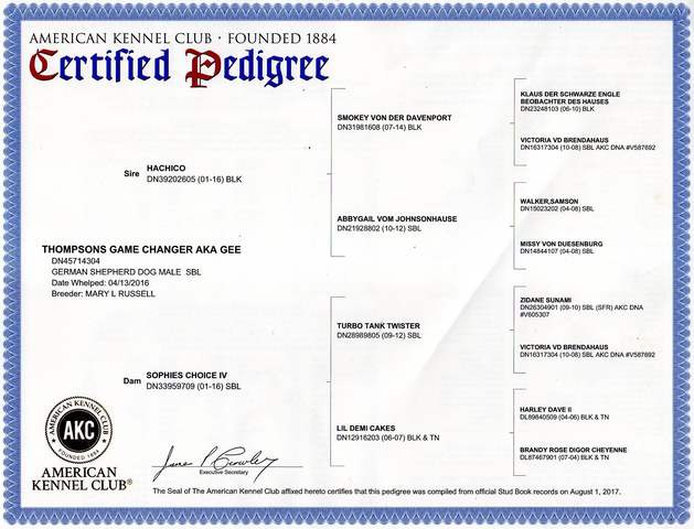 GAME CHANGER'S PEDIGREE