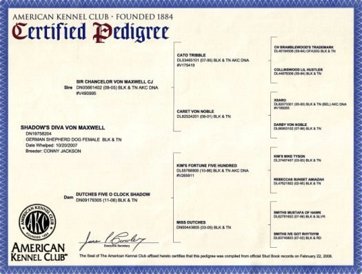 DIVA'S PEDIGREE
