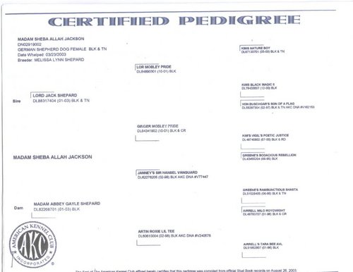 MADAM SHEBA ALLAH JACKSON'S PEDIGREE