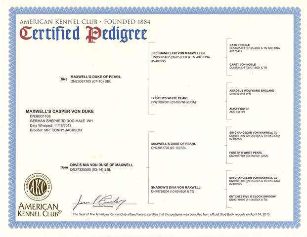 Casper von Duke's Pedigree